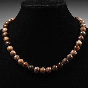 Natural History - Plesiosaur Bone Beads
