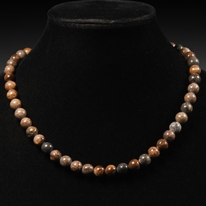 Natural History - Plesiosaur Bone Beads