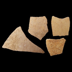 Natural History - Giant Elephant Bird Eggshell Group