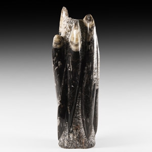 Natural History - Polished Orthoceras Fossil Tower