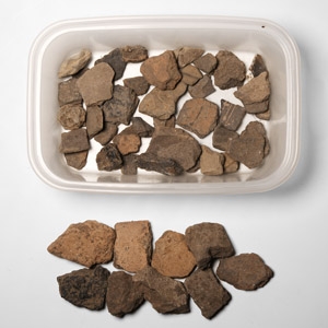 Stone Age Linear Pottery Shards
