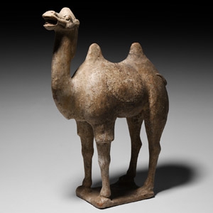 Chinese Tang Standing Camel