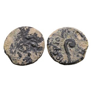 Ancient Roman Provincial Coins - Tiberius - Judea - Pontius Pilate - AE Prutah