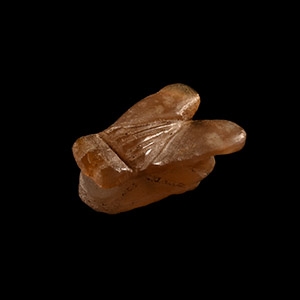Egyptian Stone Fly Amulet