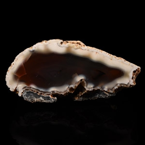 Natural History - Polished Agate Mineral Specimen