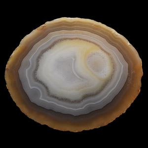 Natural History - Polished Agate Mineral Specimen
