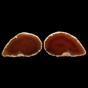 Natural History - Cut and Polished Agate Mineral Specimen Pair