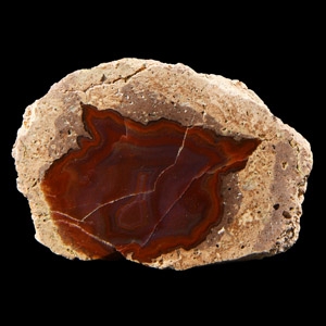 Natural History - Cut and Polished Thunder Egg Half