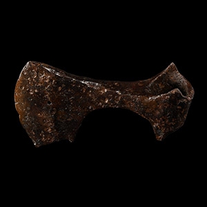 Viking Period Bearded Axehead