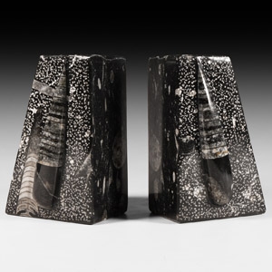 Natural History - Orthoceras Fossil Book End Pair