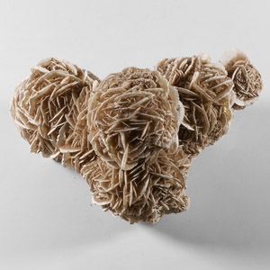 Natural History - Selenite Desert Rose Cluster