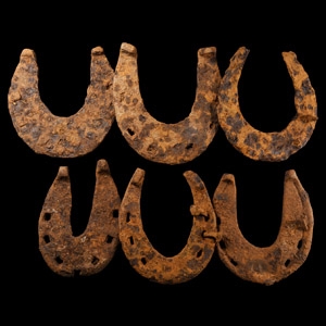 Medieval Horse Shoe Collection