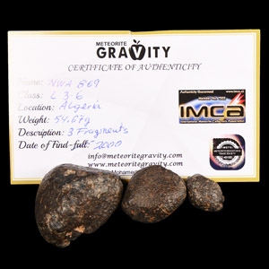 Natural History - Algerian NWA 869 Meteorite Collection