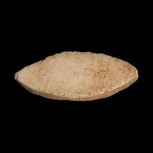 Egyptian Marble Eye Inlay
