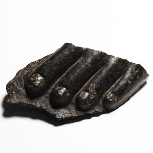 Black Granite Foot Fragment