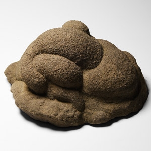 Natural History - Freeform Gogotte Display