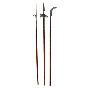 Post Medieval Iron Pike Collection