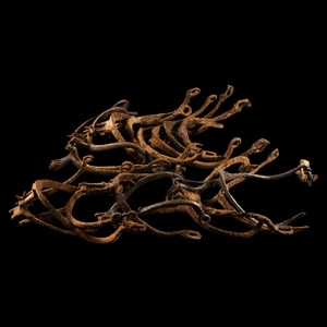 Medieval Iron Spur Group
