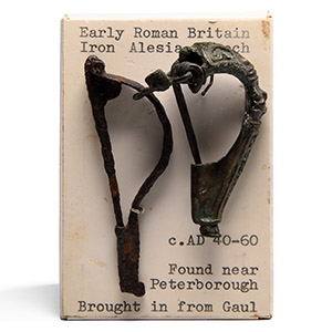 Roman Bronze Hattatt Collection Brooch Group