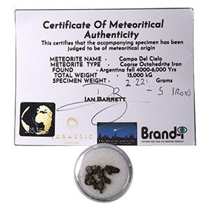 Natural History - Campo Del Cielo Iron Meteorite Collection