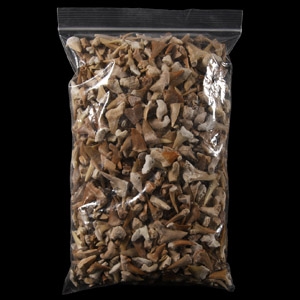 Natural History - Extinct Fossil Shark and Other Tooth Collection