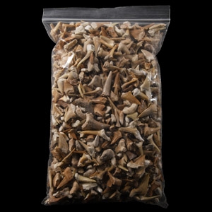 Natural History - Extinct Fossil Shark and Other Tooth Collection