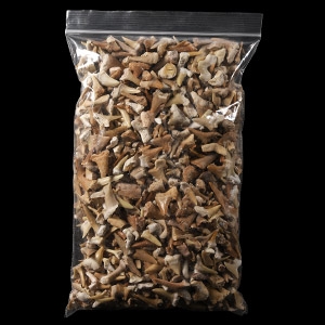 Natural History - Extinct Fossil Shark and Other Tooth Collection