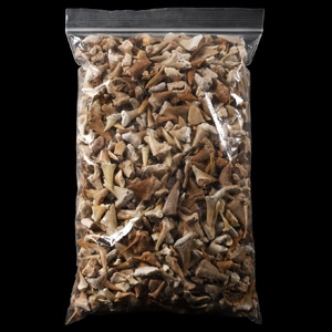 Natural History - Extinct Fossil Shark and Other Tooth Collection