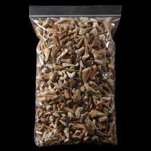 Natural History - Extinct Fossil Shark and Other Tooth Collection