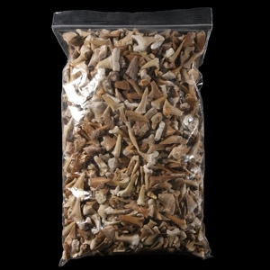Extinct Fossil Shark and Other Tooth Collection