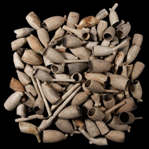 Post Medieval Clay Pipe Bowl Group Including Armorials