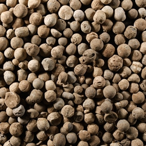 Post Medieval Lead Musket Ball Group