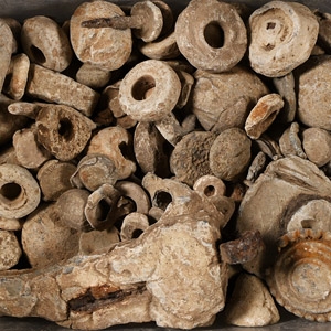 Medieval And Later Lead Weight and Artefact Collection