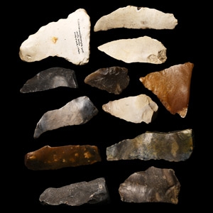 Stone Age Neolithic Flint Implement Collection