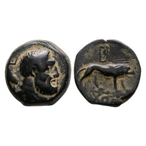Ancient Greek Coins - Galatia - Amyntas - Lion Bronze