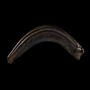Bronze Age Single-Edged Sickle