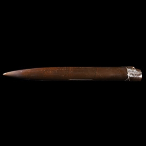 Natural History - Very Large Polished Fossil Belemnite