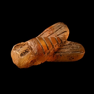 Egyptian Carnelian Fly Amulet
