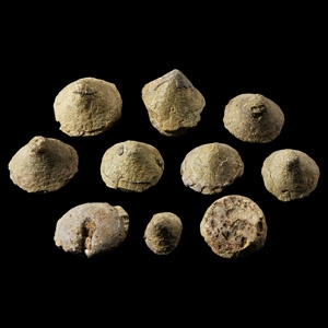 Medieval Thames Lead Gaming Piece Group