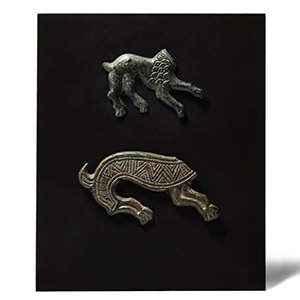 Eurasian Bronze Avar Patrix Group