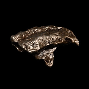 Natural History - Sikhote-Alin Meteorite