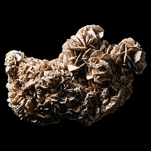 Natural History - Selenite Mineral Cluster