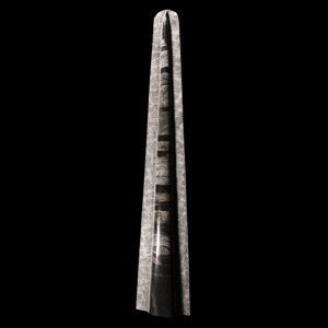 Natural History - Polished Orthoceras Rocket Display