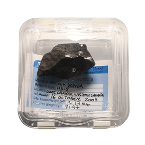 Natural History - Large Oum Dreyga Meteorite with Full Fusion Crust
