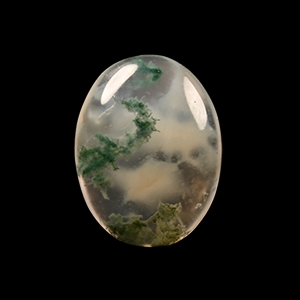 Natural History - Moss Agate Cabochon