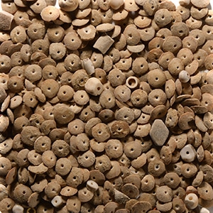 Mesopotamian Alabaster Disc Beads