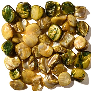 Natural History - Polished Shell Necklace Bead Group
