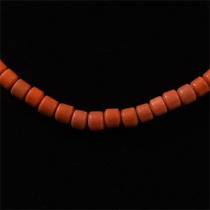 Natural History - Bead Necklace String