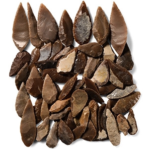Stone Age Flint Leaf-Shaped Arrowhead Collection