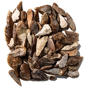 Stone Age Flint Leaf-Shaped Arrowhead Collection